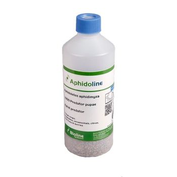 Bioline -Adidoletes Aphidimyza 1000 count 500ml
