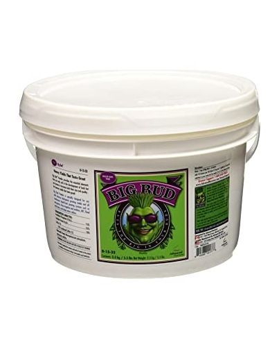 Big Bud Powder 2.5kg
