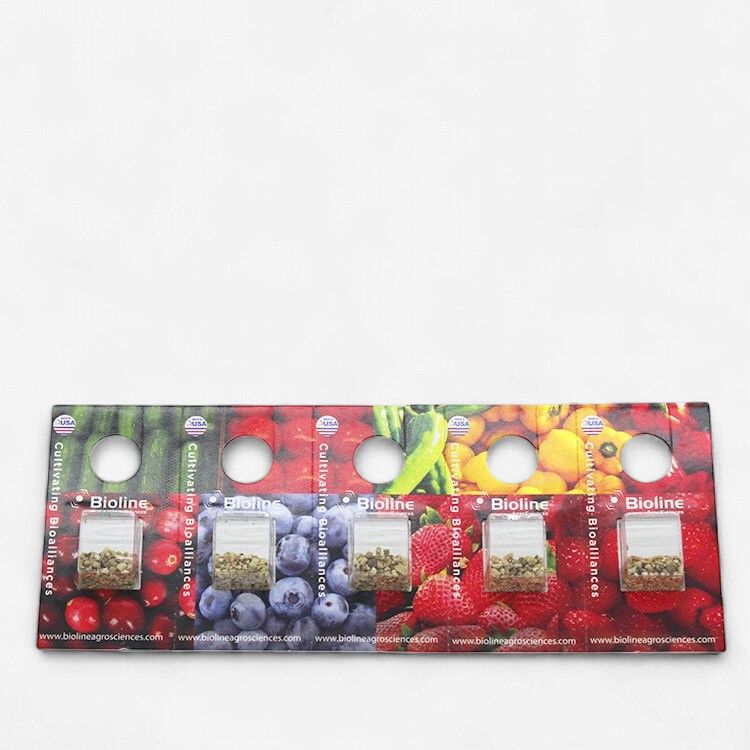 Bioline -Persimilis bugs 2k 10 Blister Pack