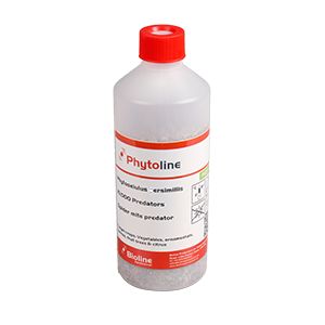 Bioline -Persimilis bugs 20k