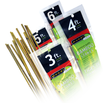 Mondi 4’ Bamboo Stakes 25