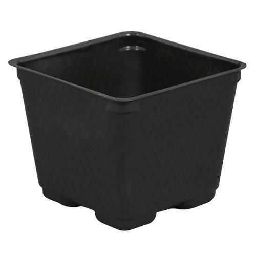 Gro Pro Black Square Pot 3.5"
