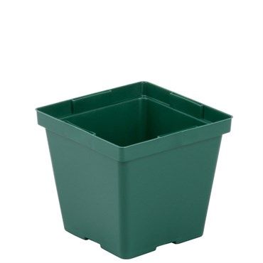 Kord Lite Square Pot 4" Green