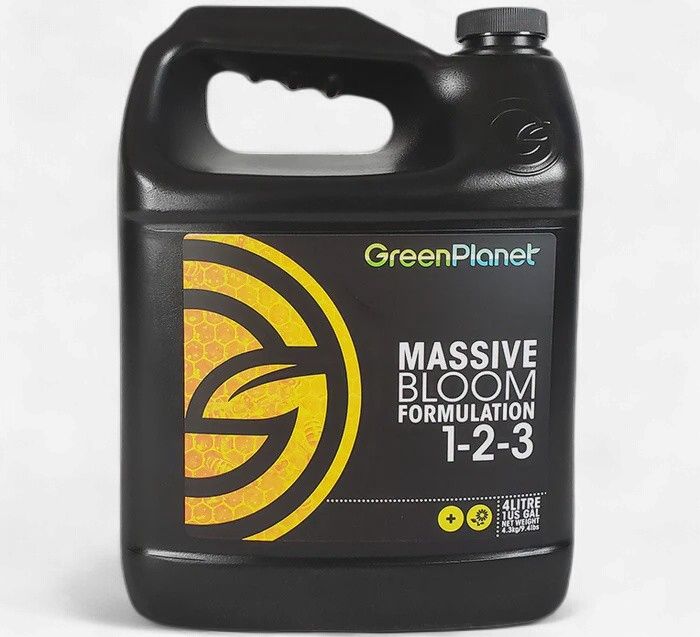 Massive 4L