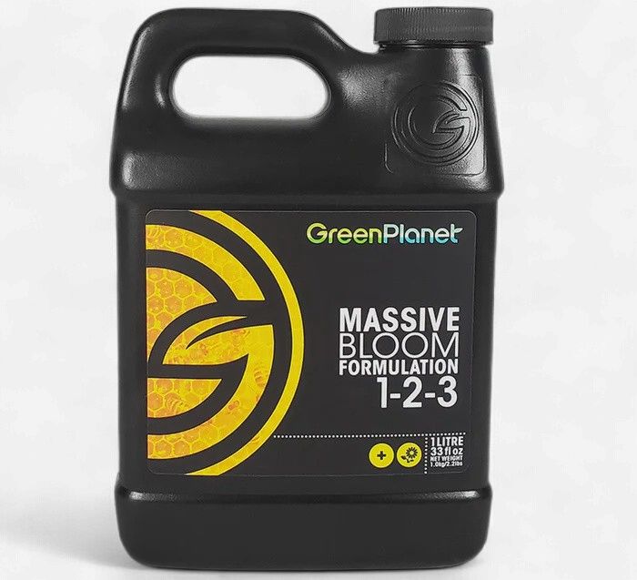 Massive 1L