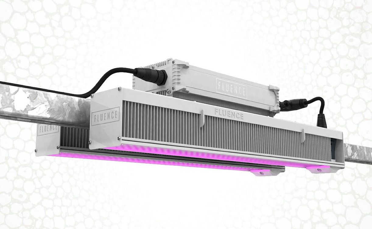Fluence VYPR 3p LED 120v-277v