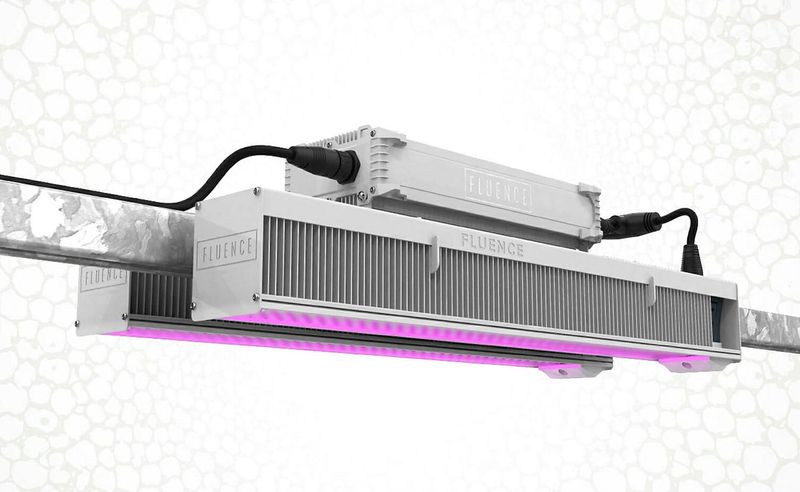 Fluence VYPR 3p LED 120v-277v