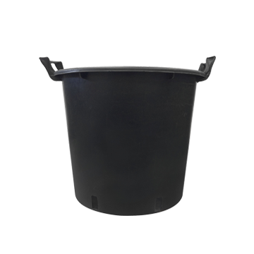 Mondi Tree Container Hard Pot 24 Gal