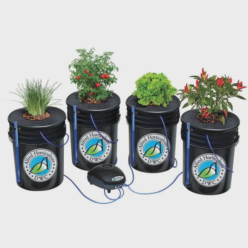 Alfred Deep Water Culture 4 Bucket Kit