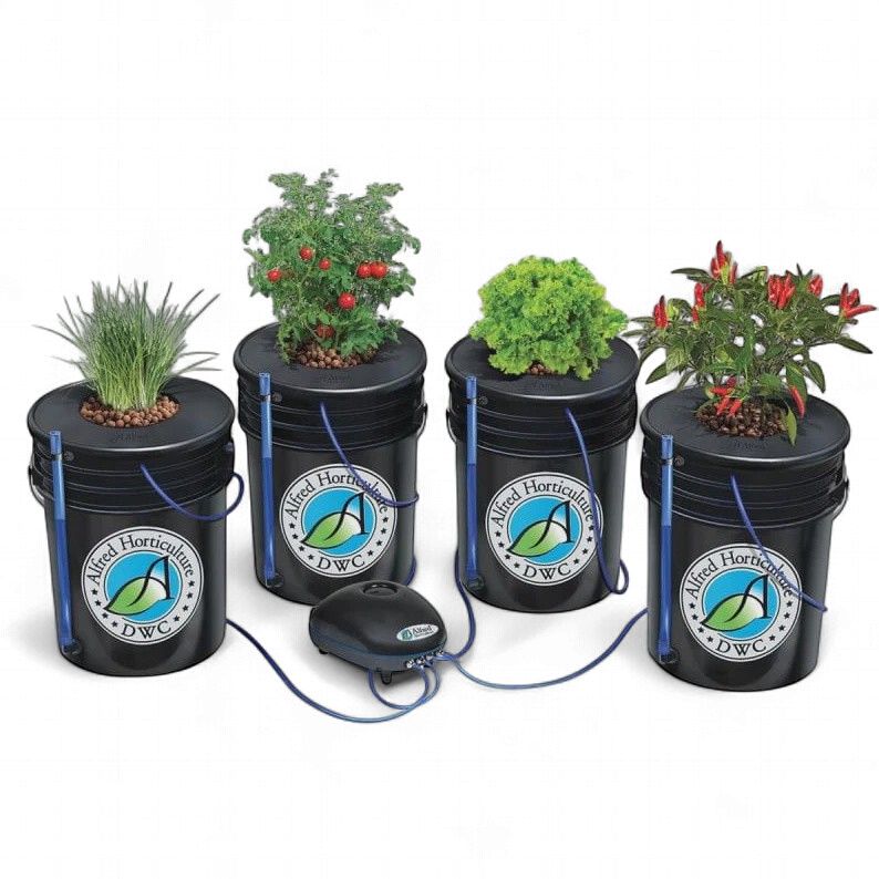Alfred Deep Water Culture 4 Bucket Kit