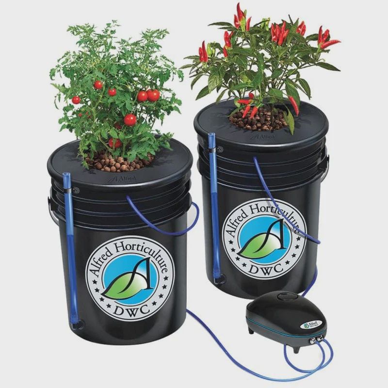 Alfred Deep Water Culture 2 Bucket Kit