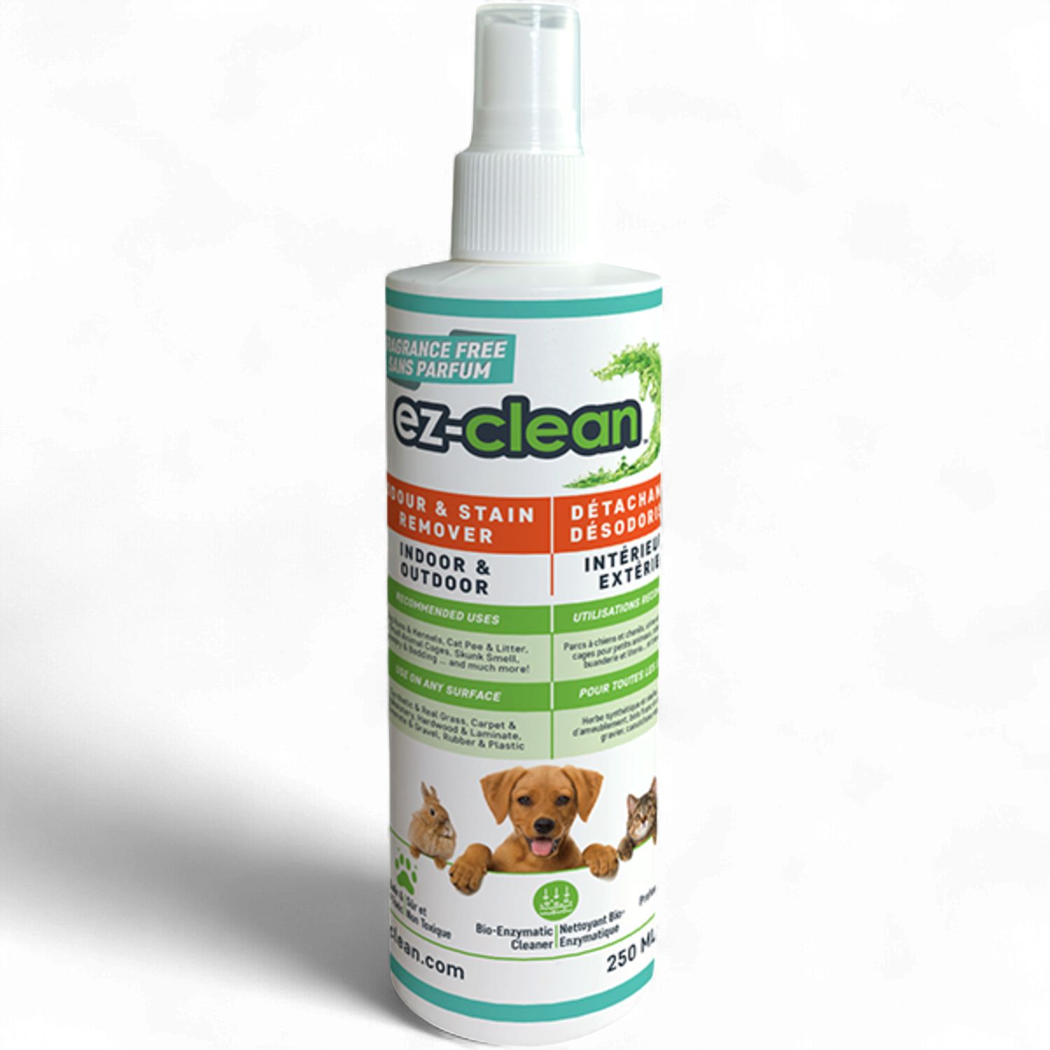 Ez-Clean Odour &amp; Stain Remover Original Scent RTU 250ml