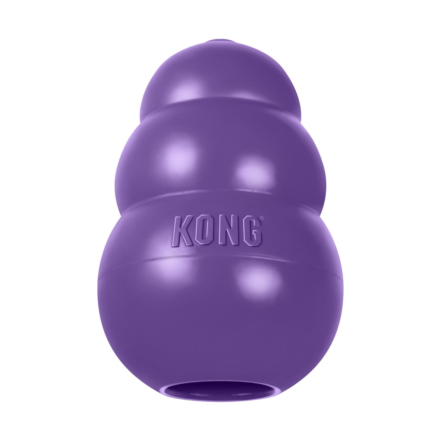 Kong Senior Small Purple