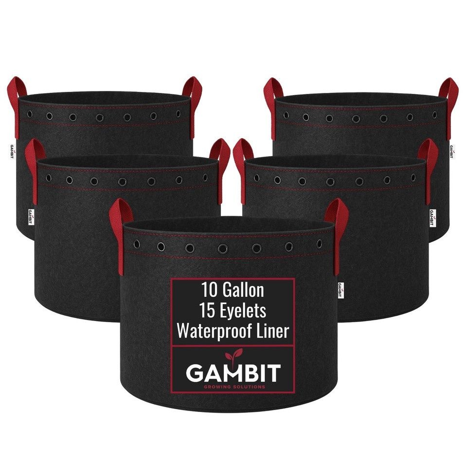 Gambit Fabric Pot 10 gal (G11)
