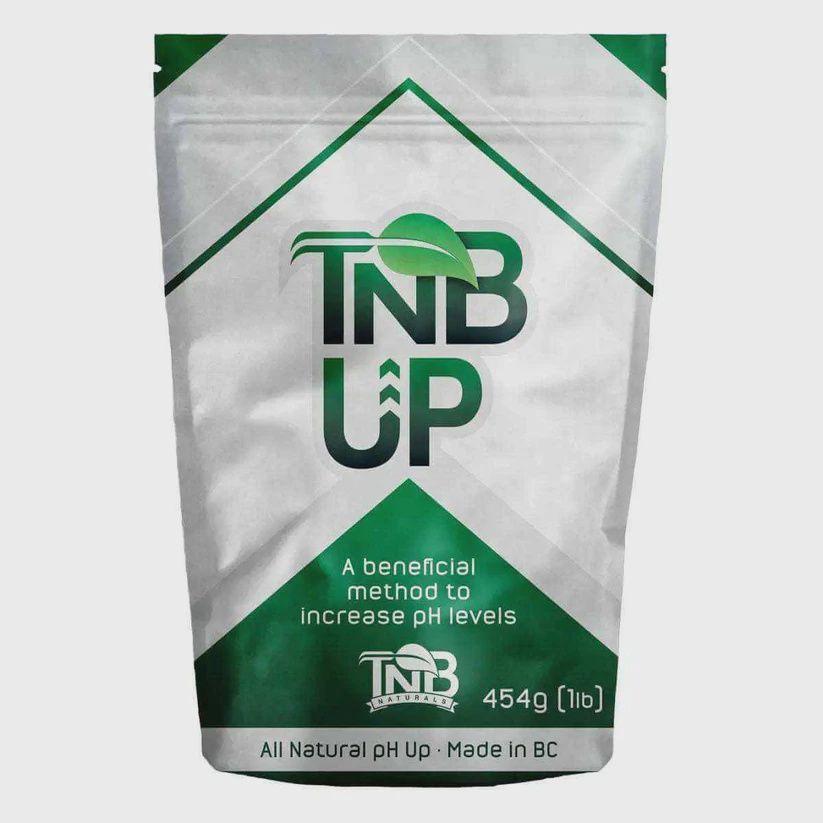 TnB Granular PH Up 454g