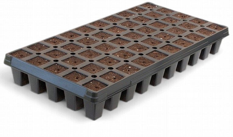 Q Plug Tray 50