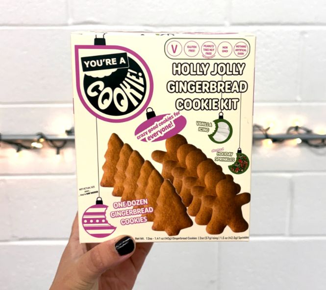 12 Gingerbread Cookie Kit with Icing &amp; Sprinkles