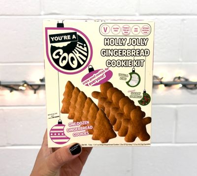 12 Gingerbread Cookie Kit with Icing &amp; Sprinkles