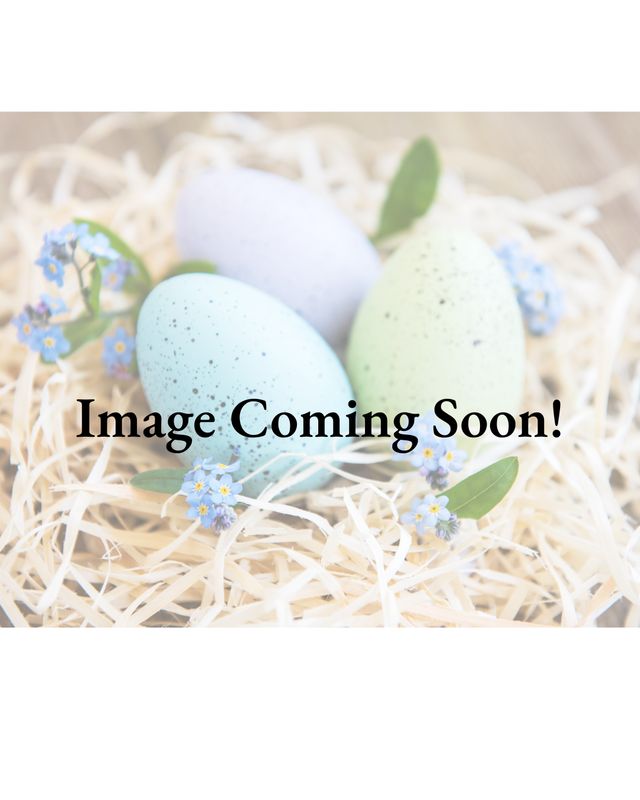 4 pk Easter Nest Cupcakes