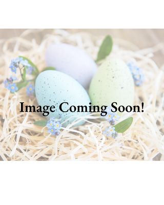 4 pk Easter Nest Cupcakes