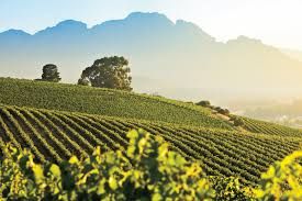 ITALIAN WINES &amp; ANTIPASTI TASTING - 6 COURSE - 5PM TO 7PM, 31ST AUGUST 2026