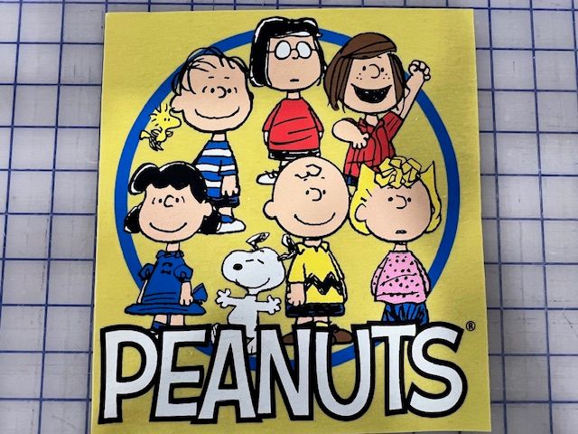 Pre-Order Peanuts Gang