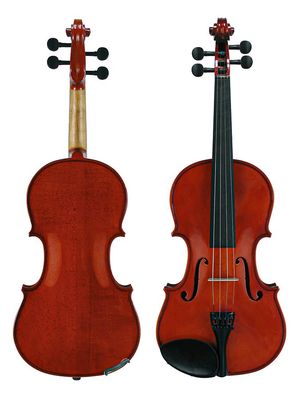 Strijkinstrumenten