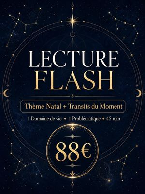 ⚡️ Votre Lecture Flash Personnalisée pour une problématique, un domaine (amour ou carrière etc.)