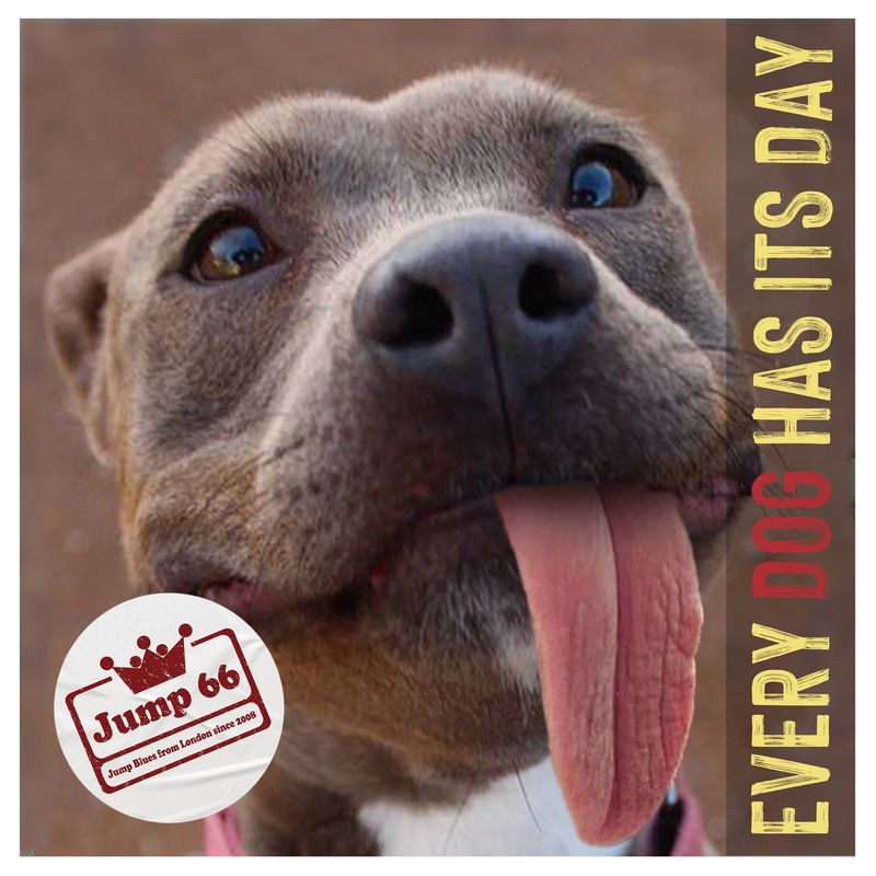 'EVERY DOG HAS ITS DAY' CD (KING-TONE 013)