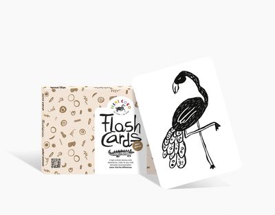 Mini Coco | Flash cards | Safari | EN

