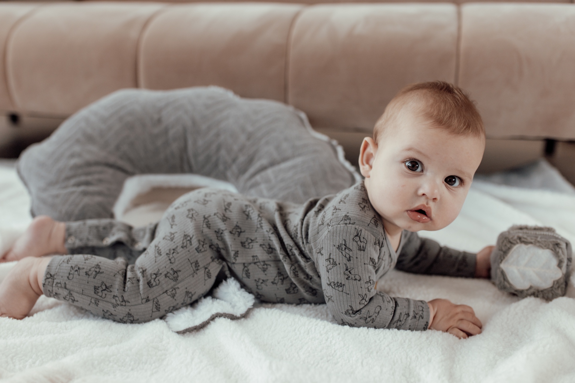 suit Cloudy grey 50/56