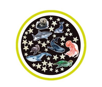 Brainstorm Glow Stars &amp; Sea Creatures 43-delig interieur
