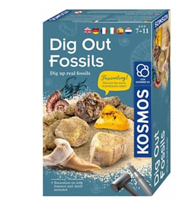 Kosmos Dig Out Fossils