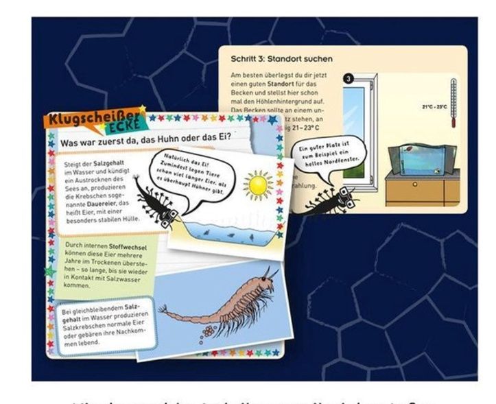 Kosmos Fun Science Saltwater Creatures