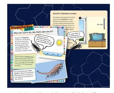 Kosmos Fun Science Saltwater Creatures