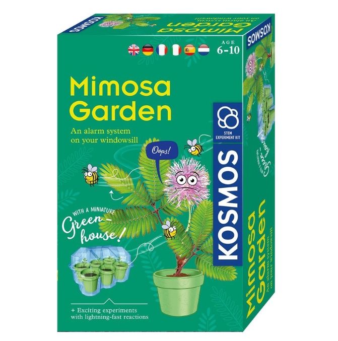 Kosmos Mimosa Garden