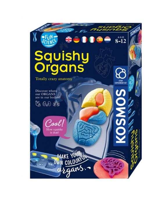 Kosmos Fun Science Squishy Organs