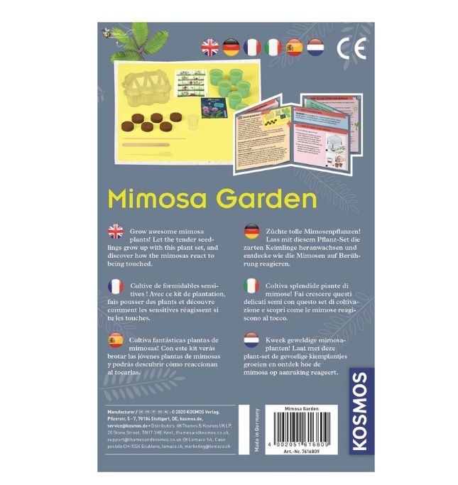 Kosmos Mimosa Garden