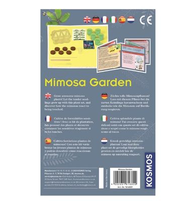 Kosmos Mimosa Garden