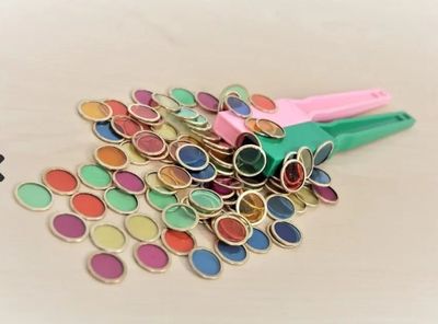 Shaw Magnetische Staven met Magnetische Chips 100-stuks magnetisch speelgoed