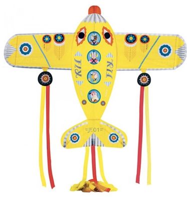 Djeco Vlieger Maxi Vliegtuig