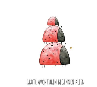 Geboortekaart Grote Avonturen Lieveheersbeestjes

