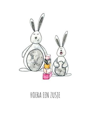 Juulz Geboortekaartje Hoera een zusje (Juulz kaart)