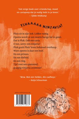 Pluk en Pluis – De weg naar terug – Mathilde Stein