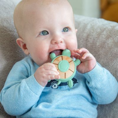 Tickit Silisoft Schildpad Bijtspeelgoed