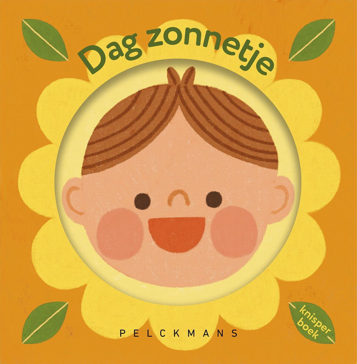 Dag Zonnetje Annelies Draws babyboek