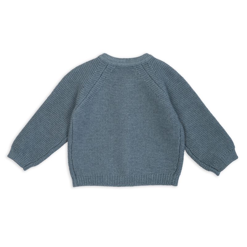 Lodger Babyvestje Merino Wol Dragonfly newborn achterkant.