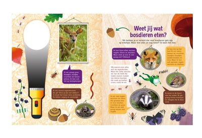 Speuren in het bos – Lantaarn Publishers