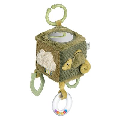 Fehn Activiteitkubus Kameleon (Lazy, Crazy, Pink)
