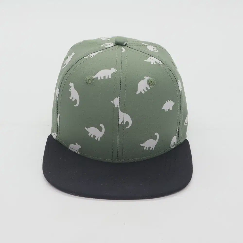 Cap dino green
